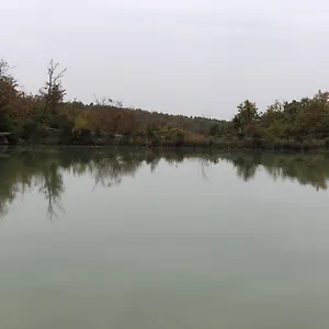 Oliviera Winery , Vagliagli Italië